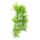 Décor plante Climber Tropica