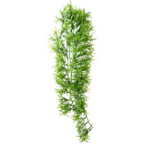 Décor plante Climber Tropica