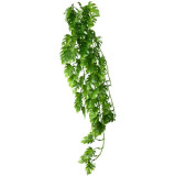 Décor plante Climber Philo