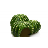 GROTTE CACTUS 22.5 X 22 X 10CM