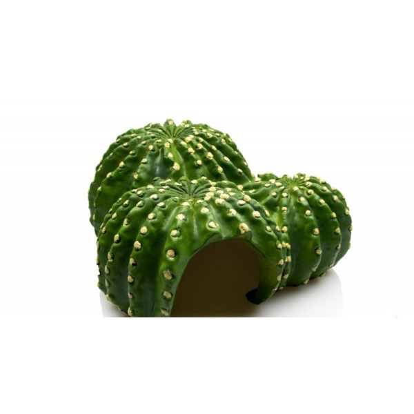 GROTTE CACTUS 22.5 X 22 X 10CM