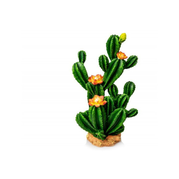 CACTUS XL 26 X 18.5 X 42.5 CM