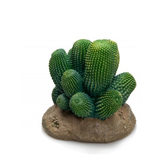 Décor plante Cactus Atacam