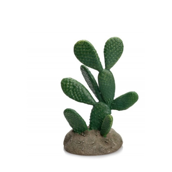 CACTUS 13 X 9 X 19.5CM