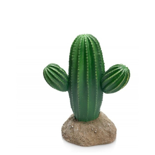 CACTUS 14 X 9 X 17CM