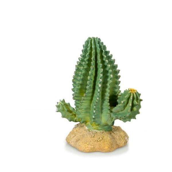 CACTUS 1   13 X 7.5 X 15 CM