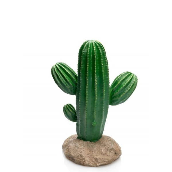 CACTUS 17X13X24.5CM