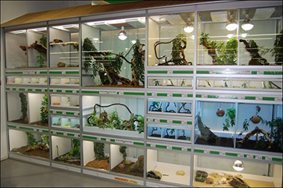 Boutique HP Terra