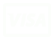 Logo VISA